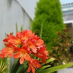 Casa Imperio - Azorean House Tatil Evi Povoacao (Sao Miguel)