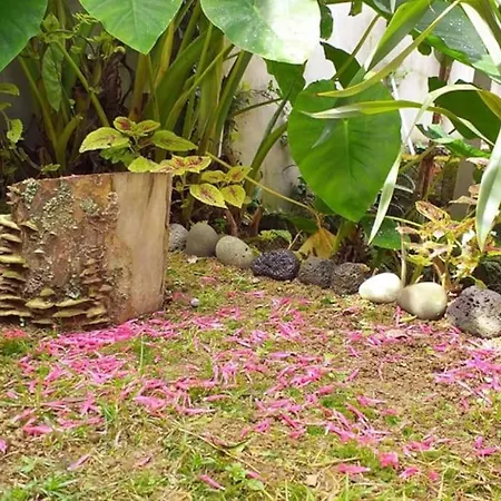 Holiday home Casa Imperio - Azorean Boutique House *