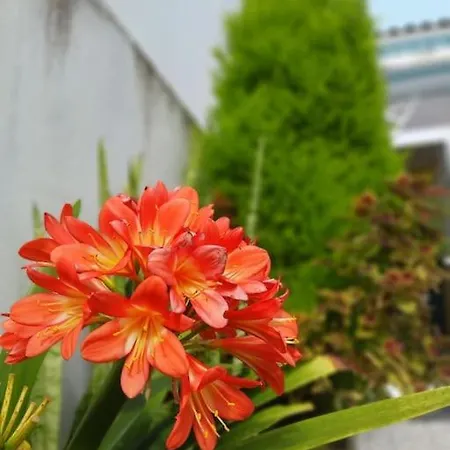 Casa Imperio - Azorean Boutique House بيت للعطل بوفواساو