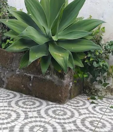 بيت للعطل Casa Imperio - Azorean Boutique House بوفواساو