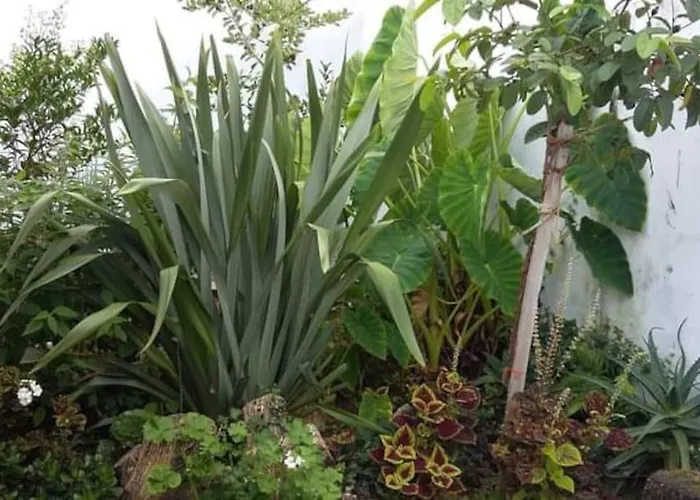 Casa Imperio - Azorean Boutique House Povoacao (Sao Miguel)